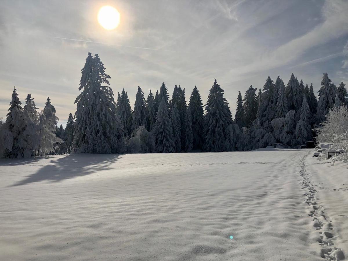 Bergstern Villa Freudenstadt Dış mekan fotoğraf