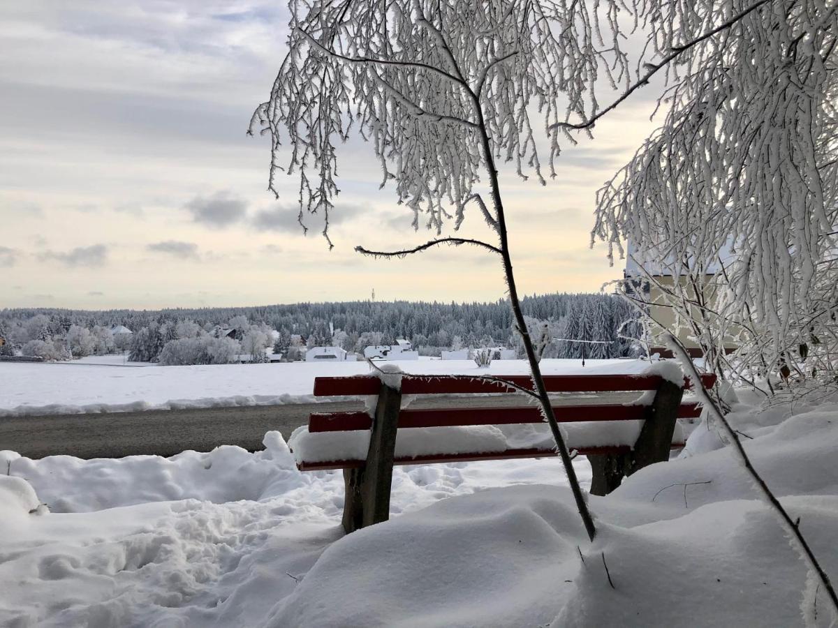 Bergstern Villa Freudenstadt Dış mekan fotoğraf